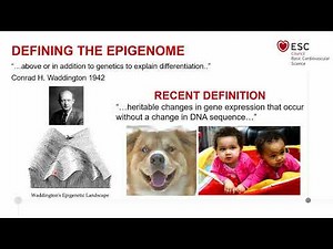 Epigenomics and transcriptomics