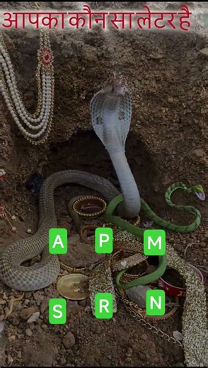 आपका कौन सा लेटर है#shorts#ytshorts#viralvideo#trandingvideo#viralvideo2025 #snakevideo #zunicnizmul