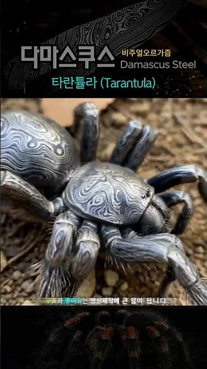 다마스쿠스 타란튤라 (Visual ASMR) Hypnotic Patterns! Damascus Steel Spider Texture (Satisfying)