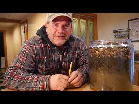 How does the back to Eden garden work