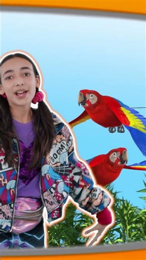 🦁🦈 Animals on TV! 🦜 Lions, Sharks, Dolphins & More | English for Kids | Planet Pop