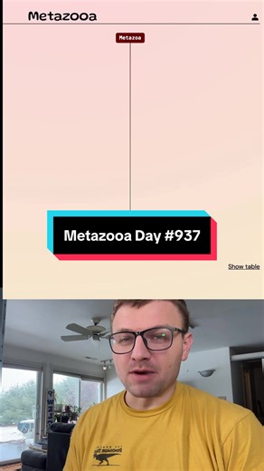 Metazooa Day 937: Discover Insect Wonders