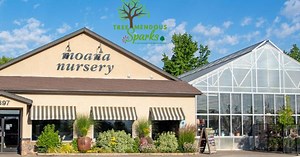 City of Sparks offers free trees to 300 residents through TreeMendous Sparks program