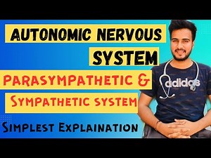 Autonomic Nervous System// Parasympathetic & Sympathetic Nervous system//Acetylcholine