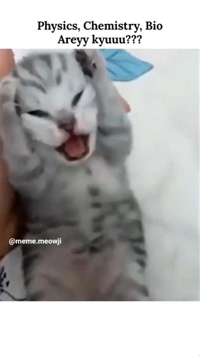Science❌#viralmemes #funnymemes #funnyshorts #memes #trendingmemes #trendingshorts #cat
