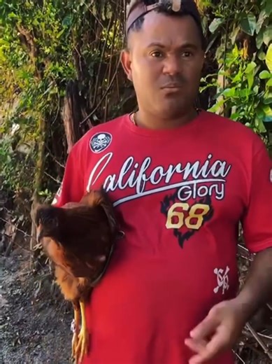 la gallina #humor #comida | el pollo