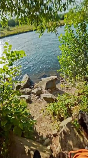 Daily life and nature in Nowy Sacz, Poland