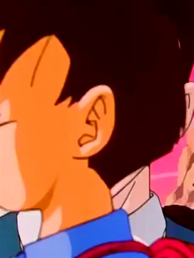 Gohan and Piccolo: A Touching Anime Tribute