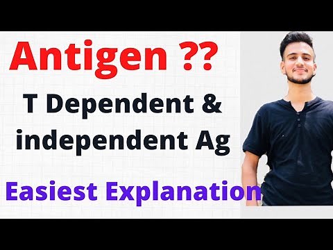 Antigens Immunology / T dependent and independent antigen