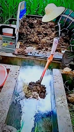 Best Way to Optimize Irrigation and Fertilization (Real Farming Examples)