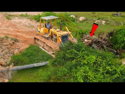 Incredible Bulldozer Skills – Tree Pushing Like You've Never Seen!