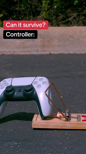 What can survive a mousetrap? 🤔 #slowmo #satisfying | mouse trap