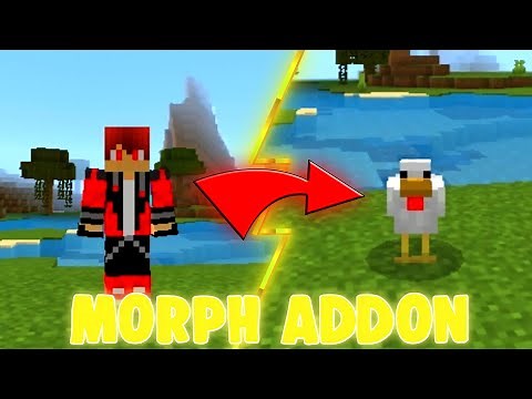 Version 1.18+ - Morph Addon V4 Download | (Transform to Mobs,Animals and More!)