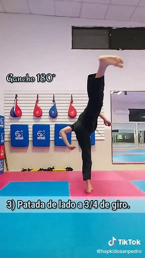 Guía de Entrenamiento de Hapkido: Aprende Principios y Técnicas de Patada 180 Grados