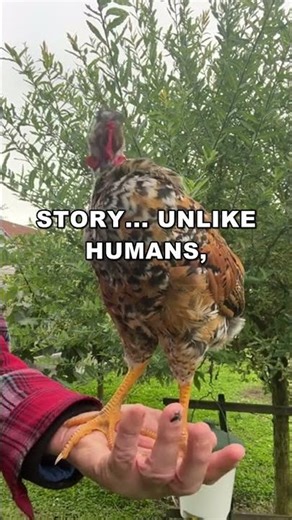 The Hare's Headless Survival - Mind-Blowing Science