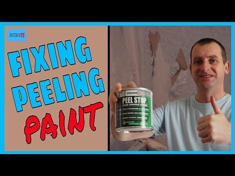 How to fix peeling paint. Repairing peeling/flaky paint.