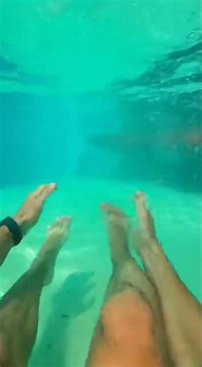 Waterslide into pool full of giant fish #funny #memes