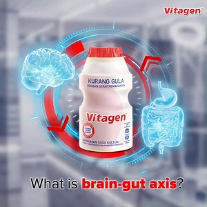 The brain-gut axis is a unique link between your brain and your gut. 易 What's going on in your gut doesn't just affect digestion; it's connected to your brain and can impact your emotional well-being. That is why we believe that happiness begins in your gut - healthier gut, happier you!. #VITAGENMalaysia #ClinicallyProven #BeGoodToYourGut #HappyGutHappyYou | VITAGEN Malaysia | Facebook