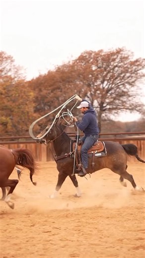 1.2K views · 618 reactions | Get in that DIRT  #ropingdummiestexas #roping #teamroping #rodeo #horses @blake_toliver | Roping Dummies Texas | Facebook