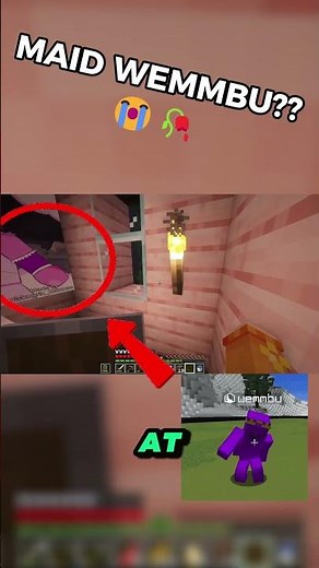 Squiddo Meets MAID Wemmbu… 😳 #unstableuniverse #minecraft #wemmbu #twitch
