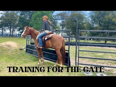 Training for the Gate Manoeuvre