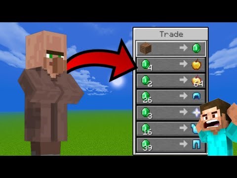 Minecraft But Villager Trade Me OP ITEM........