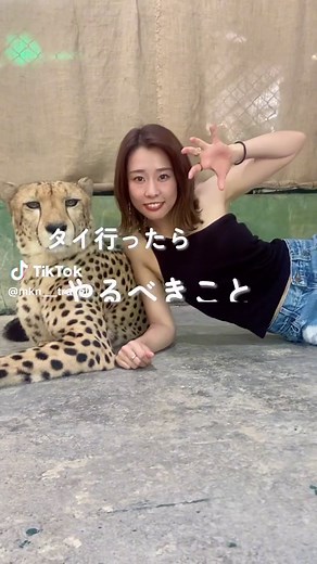 ご飯美味しい人優しい物価安い、総じてだいすきなタイ🇹🇭#海外旅行 #海外 #タイ #タイ旅行 #バンコク #プーケット #バンコク旅行 #タイグルメ #タイガーキングダム #トゥクトゥク #メークロン市場 #水上マーケット #アユタヤ #カオサンロード