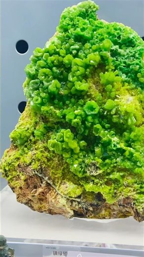 Pyromorphite，from the Geological Museum of China #beijing #travel #museum
