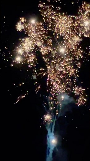 Bamboozle Firework 42 Shots!