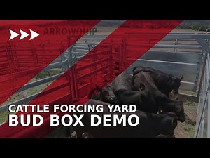 Cattle Forcing Yard - Arrowquip's Bud Box Demo