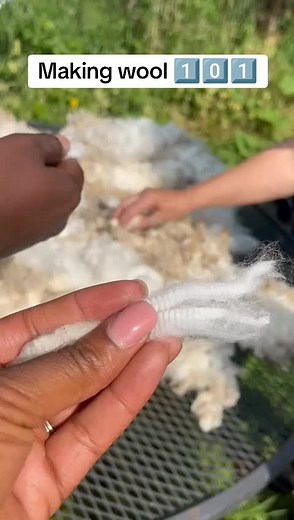 Wool Making 101: Essential Tips for Beginners!