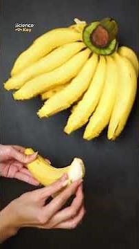 Selective Breeding : The Hidden Science Behind Your Food