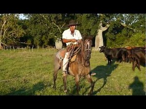 Horse Riding in Argentina