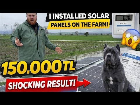 I Installed Solar Panels on My Farm! Spent $4,600—Was It Worth It?