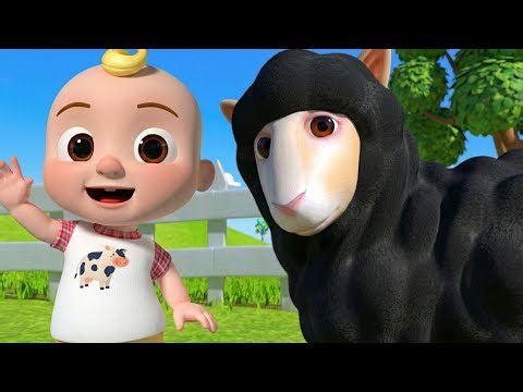 Baba black sheep and more nursery rhymes | Tim-Tim