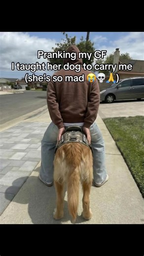 I’m being smart abt my money #dog #gf #prankvideo #gasprices