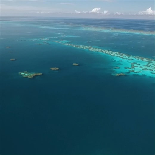 4.1K views · 135 reactions | Reef Snapshot: Summer 2021-22  〰️...