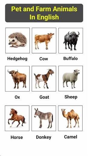 Pet and Farm Animals in English | Learn Animal Names | Farm Animals Names in English for Beginners