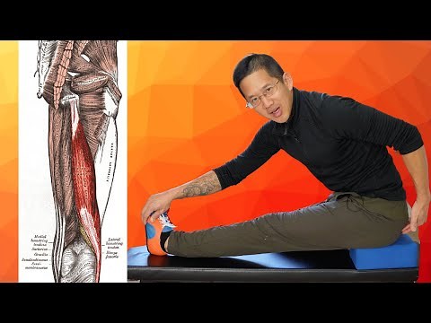 You Need to Do This Stretch (TIGHT Lateral Hamstrings / Biceps Femoris)
