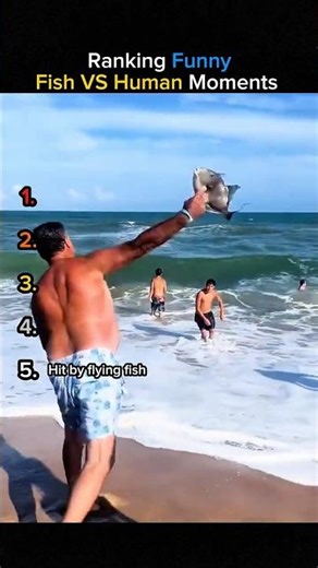Ranking Fish vs Human Moments 🐟😂