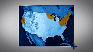 4.8K views · 11 reactions | Deer ticks and Lyme disease are a major concern in warmer months. This bacterial infection is transmitted from blacklegged deer ticks to humans. Watch to learn more. | PestWorld | Facebook