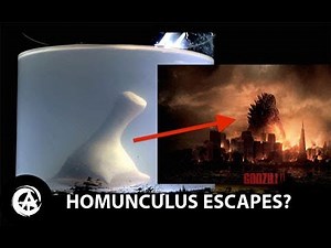 What Will Happen to the Homunculus?