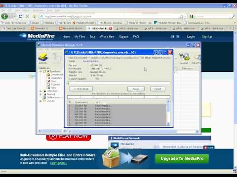 How to Download Movies from TinyMoviez.com