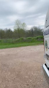 7.9K views · 133 reactions | Adoption event today at Petco in Terrell, 12-3. Shelter open until 3:00. STILL NEED ADOPTIONS TO SAVE DOGS!! STILL CRITICAL CAPACITY!! | Seagoville Animal Shelter | Facebook