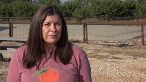 Fredericksburg orchard bounces back after summer rains, prepares for fall festivities