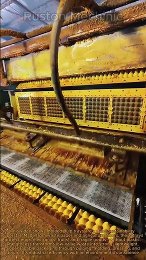 From Waste to Worth: The Incredible Process of Making Molded Pulp Trays