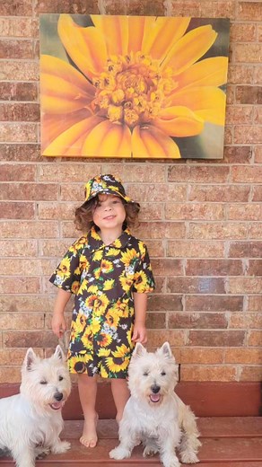 1.4K views · 259 reactions | Mr. Man, the sunniest Sunflower in our garden! He's like a big, bright flower that makes our day happy and sunny! Just like how sunflowers follow the sun, we follow Mr. Man's smile because it makes us feel warm and fuzzy inside! He's our special sunflower, and we love him so much! #FancyandFelice #SunflowerSmiles #mrman | 픽핒핟핔핪 & 픽핖핝핚핔핖 | Facebook