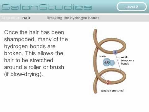 The Internal Chemical Bonds of Hair