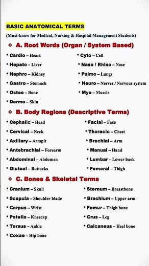Basic Anatomical Terms Explained | Medical, Nursing & Hospital Management