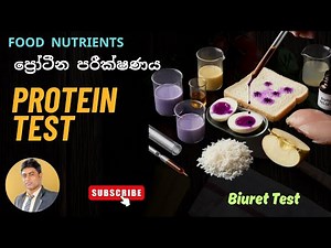 Protein Test | Biuret Test Experiment for Students : ප්‍රෝටීන් පරීක්ෂණය